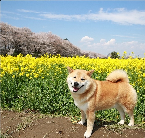201404120307305730.jpg