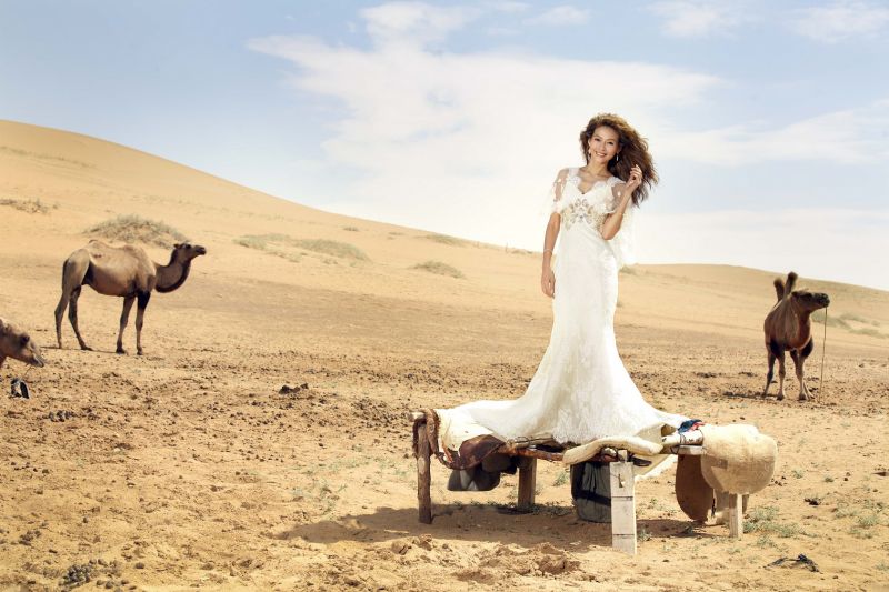 沙漠的婚纱照_沙漠婚纱照图片大全集
