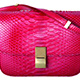 CÉLINE紅莓色蟒蛇皮Classic Bag