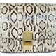 CÉLINE奎蛇皮Classic Bag
