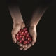 Nespresso AAA program