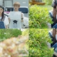 韓國國民妹妹IU在新戲-製作人 中也穿上SJYP的吊帶單寧褲
