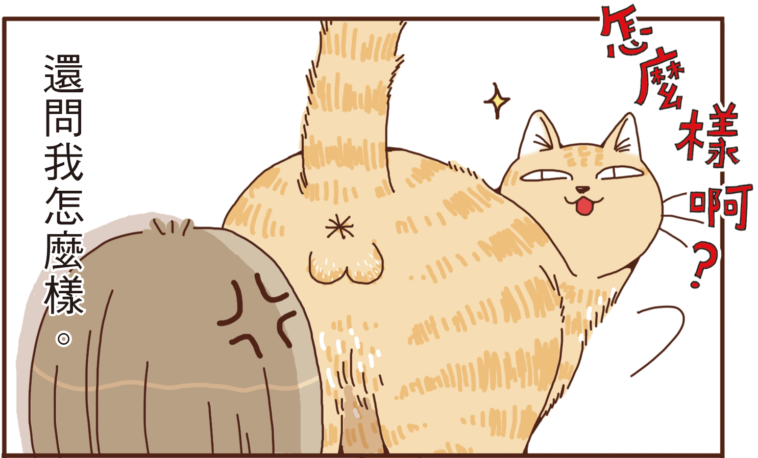 貓奴請享用 各式貓屁屁大全 Marie Claire 美麗佳人