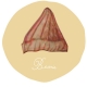 TUESDAY : 反折毛線帽(beanie)
