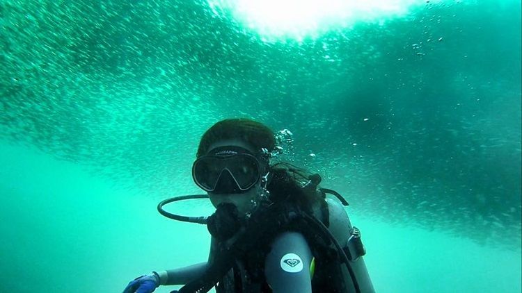 沙丁魚風暴
