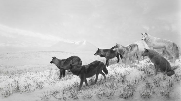 Collection of the artist. © Hiroshi Sugimoto.