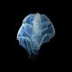 © Christian Sardet and The Macronauts/Plankton Chronicles