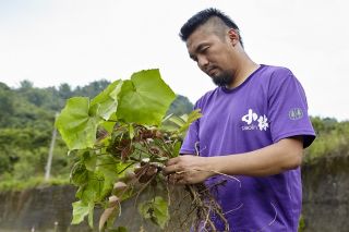 部落營造員徐大駿的心願,是在日光小林重新種植傳統原生植物,讓部落下一代也能認識並學習以前小林山上的一切,不致文化斷根。