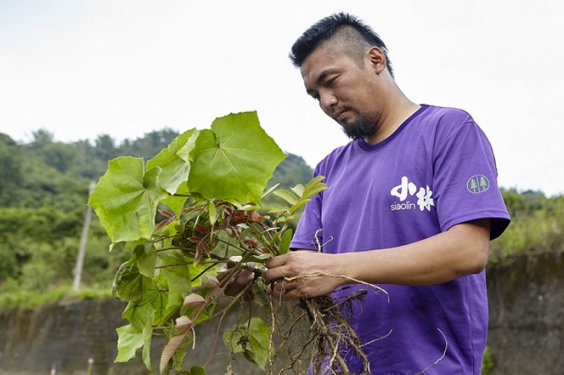 部落營造員徐大駿的心願,是在日光小林重新種植傳統原生植物,讓部落下一代也能認識並學習以前小林山上的一切,不致文化斷根。