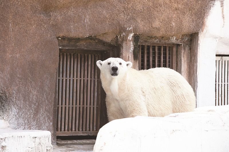 天王寺動物園