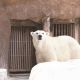 天王寺動物園