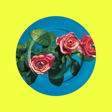 Toiletpaper 玫瑰餐盤,NT1,980