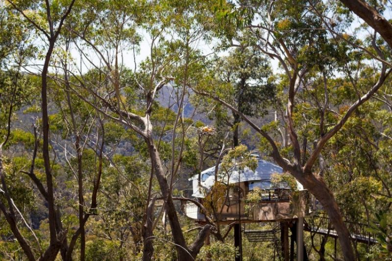 3.Treehouse Blue Mountains,最少預訂2晚,NT24,093/晚