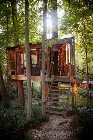 2.Secluded Intown Treehouse,最少預訂2晚,NT11,552/晚