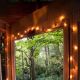 2.Secluded Intown Treehouse,最少預訂2晚,NT11,552/晚