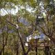 3.Treehouse Blue Mountains,最少預訂2晚,NT24,093/晚
