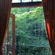 2.Secluded Intown Treehouse,最少預訂2晚,NT11,552/晚