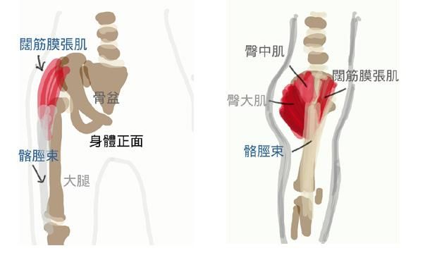 放鬆闊筋膜張肌與髂脛束闊筋膜張肌(TFL)與髂脛束(IT Band)過度緊繃的人,走路可能會呈現外八(腳一直被往外側拉),當然跟久坐生活型態大有關聯!