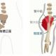放鬆闊筋膜張肌與髂脛束闊筋膜張肌(TFL)與髂脛束(IT Band)過度緊繃的人,走路可能會呈現外八(腳一直被往外側拉),當然跟久坐生活型態大有關聯!