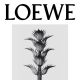 Karl Blossfeldt攝影作品