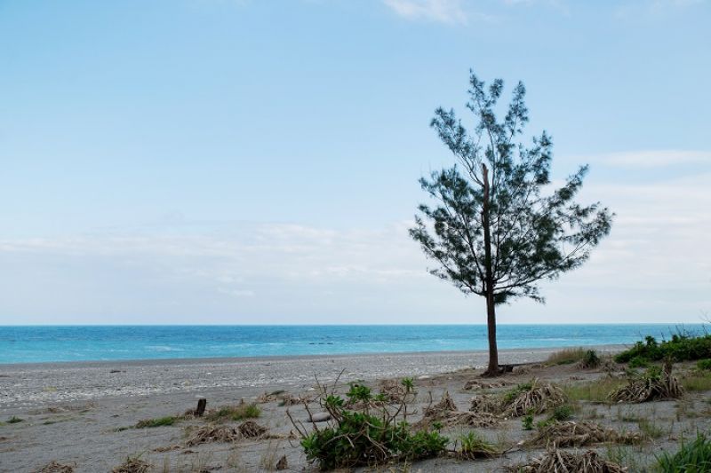 保安林守護著沿海聚落不受風雨侵擾,不僅照顧了附近生活的人,也涵養了一百多種生物。近十年來,歷經海棠、龍王、蘇迪勒等強烈風災,防風林有八成嚴重受損,在林務局努力下緩慢復育。