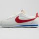 Nike CORTEZ