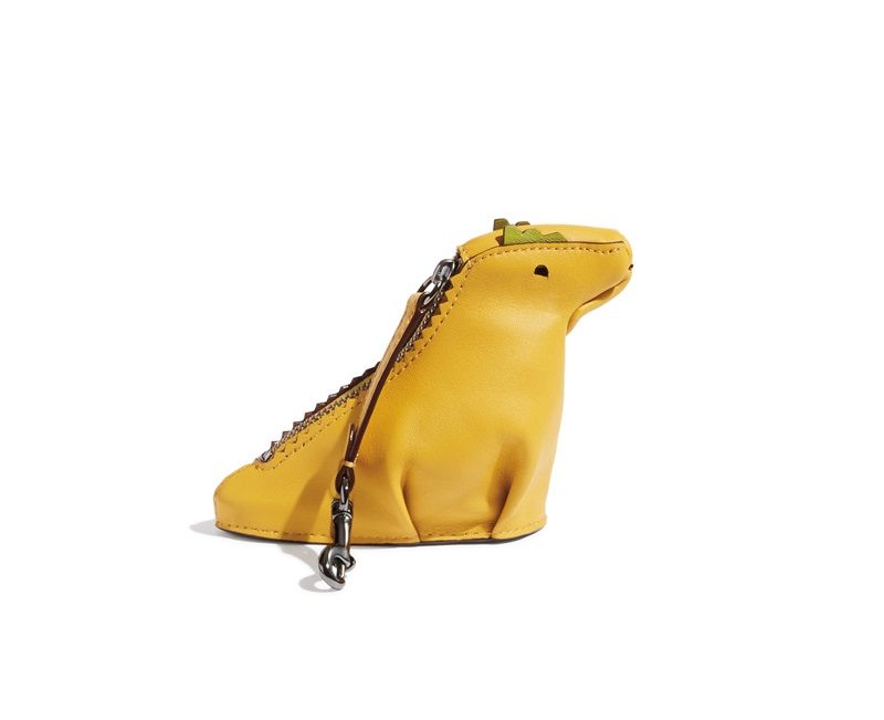 Colorblock Rexy Coin Case TWD 4,900
