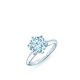 The Tiffany® Setting 經典六爪鑲嵌鑽戒 參考價格 鑽石主石1.02克拉 顏色E 淨度VVS1 NT$955,000