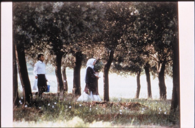 《橄欖樹下的情人》(Through the Olive Trees, 1994)