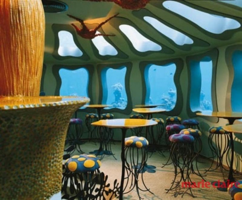 以色列—The Red Sea Bar
