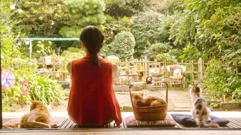 有時你需要的不是能趕走寂寞的人,而是能共享寂寞的伴。Sometimes what you need is not someone who can chase away loneliness, but who can share it with you. 吉貓出租 (Rent a Cat), 2012