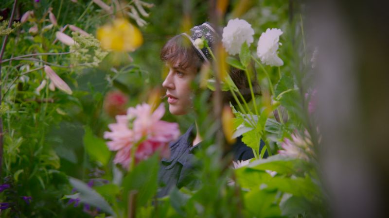 《歡迎光臨貝拉的奇幻花園》(This Beautiful Fantastic)