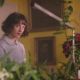 《歡迎光臨貝拉的奇幻花園》(This Beautiful Fantastic)