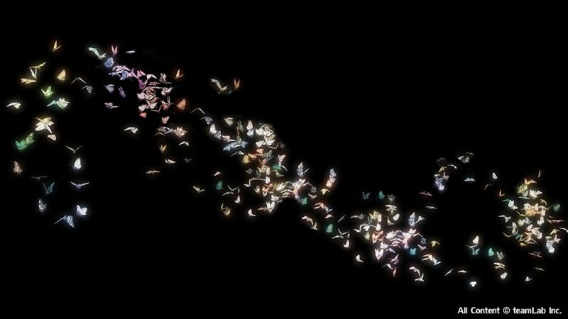 〈蝶振翅無邊界〉(Flutter of Butterflies Beyond Borders)