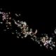 〈蝶振翅無邊界〉(Flutter of Butterflies Beyond Borders)