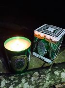 Diptyque聖誕LE ROI SAPIN(歡慶冷杉)