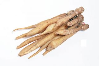 運動後 甲猜(泰國手指薑)