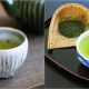 運動後 綠茶