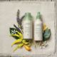 AVEDA ShampureTM純香乾洗髮限定組,NT.2700