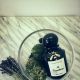 最近的新寵是L’artisan Parfumeur 2016新作中的26 Tenebrae,新系列中共六款新香,不僅更換包裝,也不難在這六款作品中看見L’artisan Parfumeur想將品牌轉型年輕時髦化的野心;老實說我在26 Tenebrae和32Venenum中猶豫很久,最後還是選擇了26 Tenebrae,除了木質底韻搭配冷衫木的味道很適合春天忽冷忽熱的天氣之外,乳香搭配著淡淡卻不嗆鼻的煙燻味完全適合人稱陳大哥的我,推薦給不喜歡甜膩味道的個性女孩~推薦者:Marie Claire資深服裝編輯 Titi