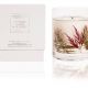 STONEGLOW 日本紅楓香氛燭 ,NT$2,200