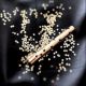 YSL超模聚焦明采筆繁星限定版形象圖。