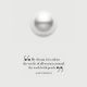 MIKIMOTO The Pearl Necklace by Assouline藝術專著封底