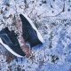 PUMA TSUGI Shinsei NT$3,980 (黑)