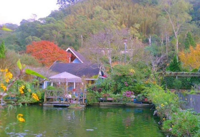 山芙蓉咖啡