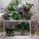 The Grey Green 邀請日本花藝設計師嶺貴子合作此次作品