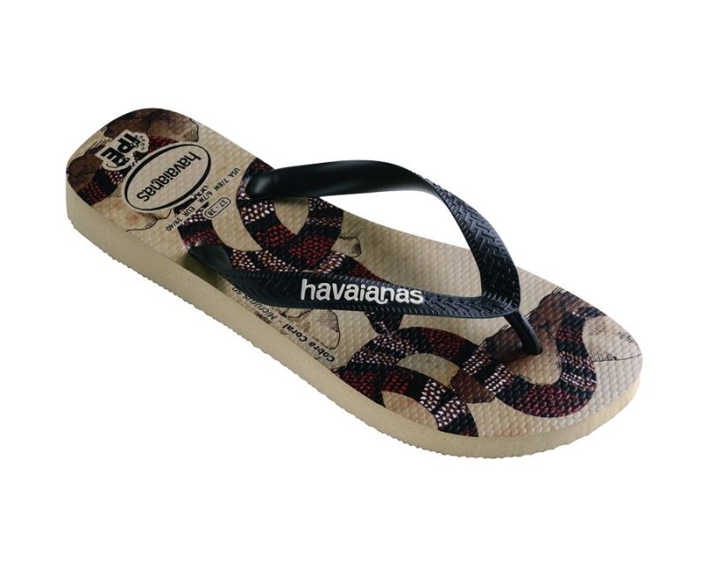 havaianas IPE系列,推薦價:700元