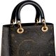 獨賣限定Lady Dior The Moon In My Eyes Mini