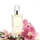Kalimantan Perfume 雲端小島淡香精,75ml,NT7150