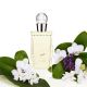 Tiare Perfume 海洋之心淡香精,75ml,NT7150